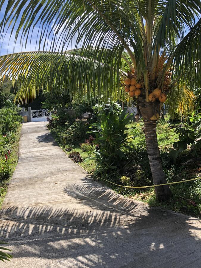Le Val De Lys-Piscine Privee Villa Vieux-Habitants Eksteriør billede